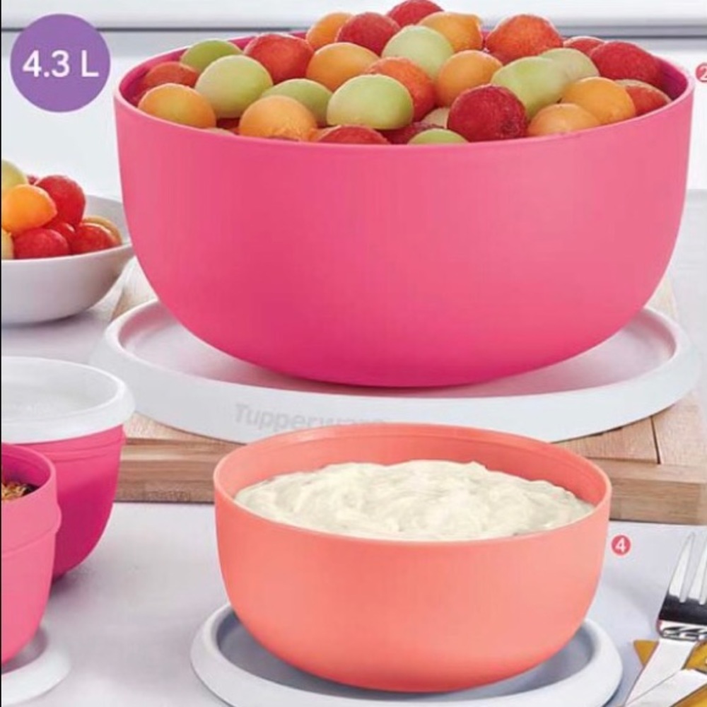 Tupperware Blossom Bowl Set of 2